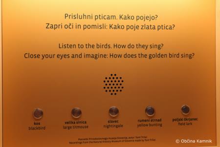 Vedno zanimiv Križnikov pravljični festival in odprtje Pravljične hiše (27)